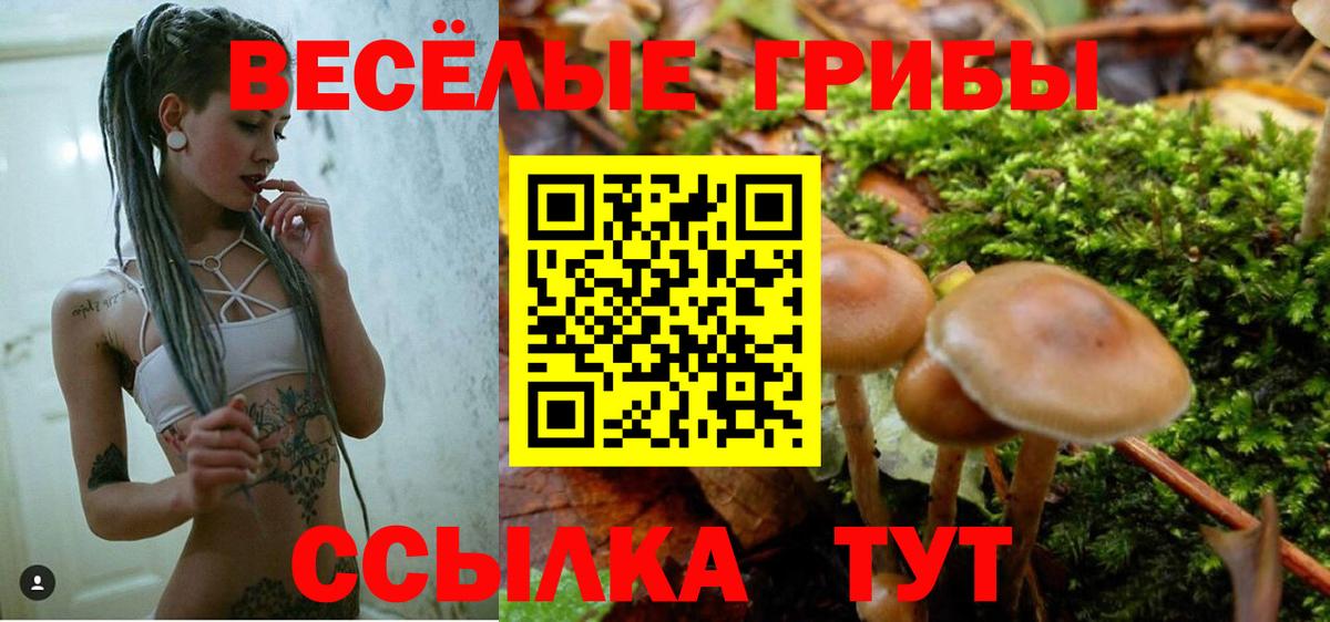 где найти   Галлюциногенные грибы Magic Shrooms  Вход с VPN  Галлюциногенные грибы Psilocybine cubensis  Черкесск 
